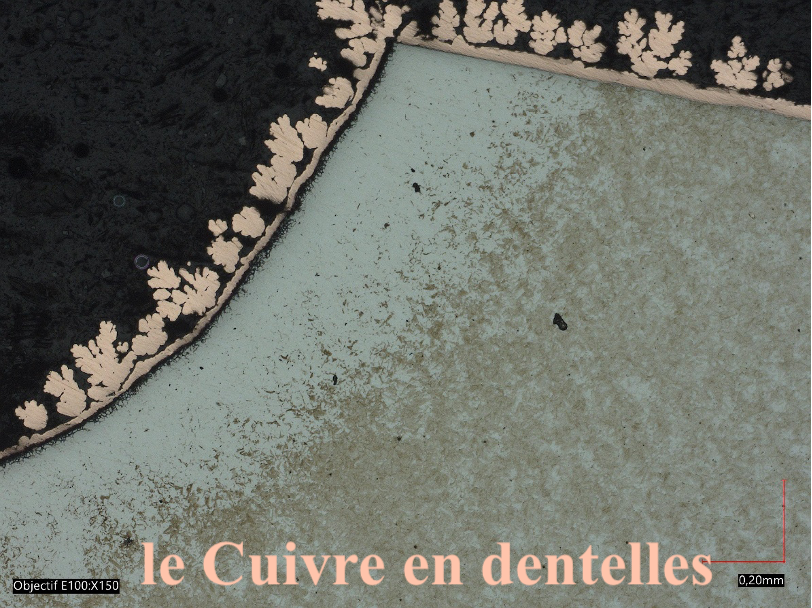 CONCOURS PHOTO MICROGRAPHIE